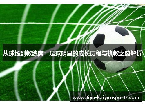 从球场到教练席：足球明星的成长历程与执教之路解析