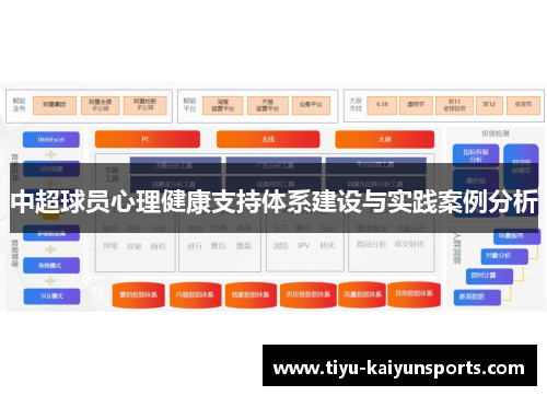 中超球员心理健康支持体系建设与实践案例分析