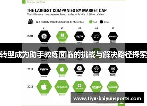 转型成为助手教练面临的挑战与解决路径探索