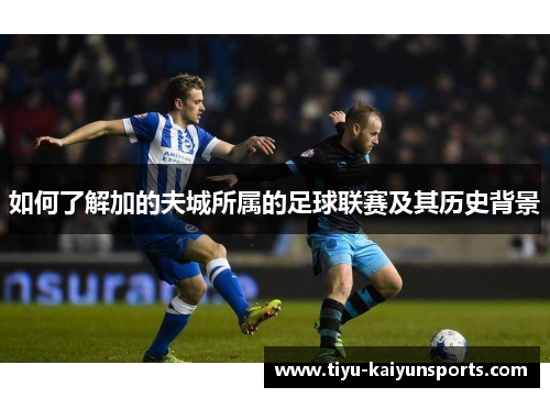 如何了解加的夫城所属的足球联赛及其历史背景