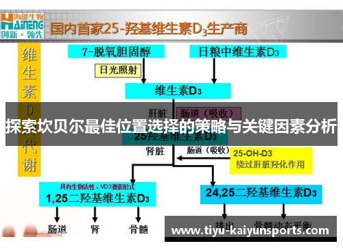 探索坎贝尔最佳位置选择的策略与关键因素分析 探索坎贝尔最佳位置选择的策略与关键因素分析